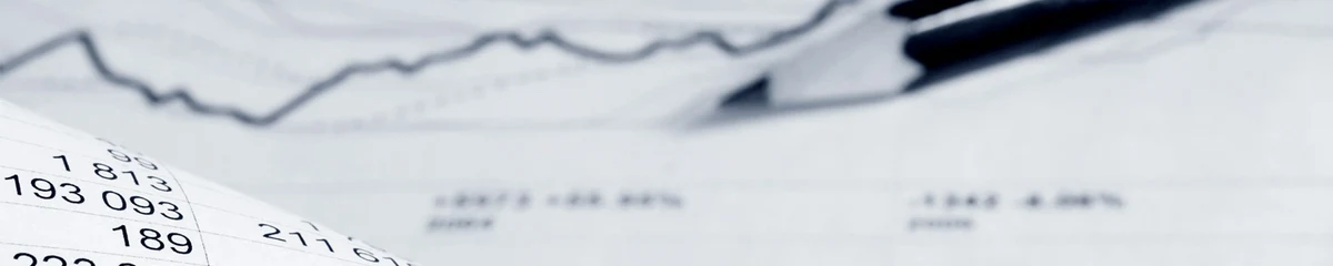 Sustentabilidade Financeira no Terceiro Setor